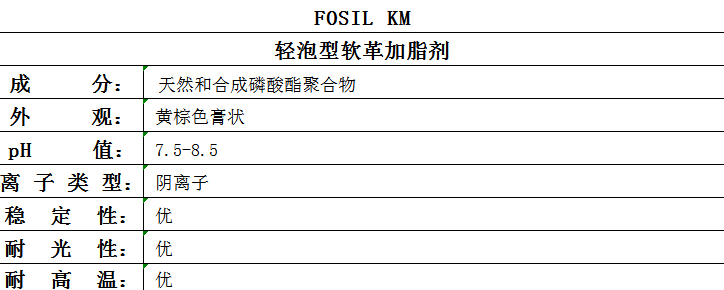 FOSIL KM